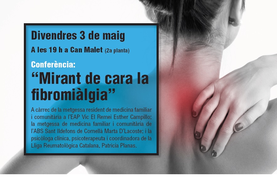 Conferència: 