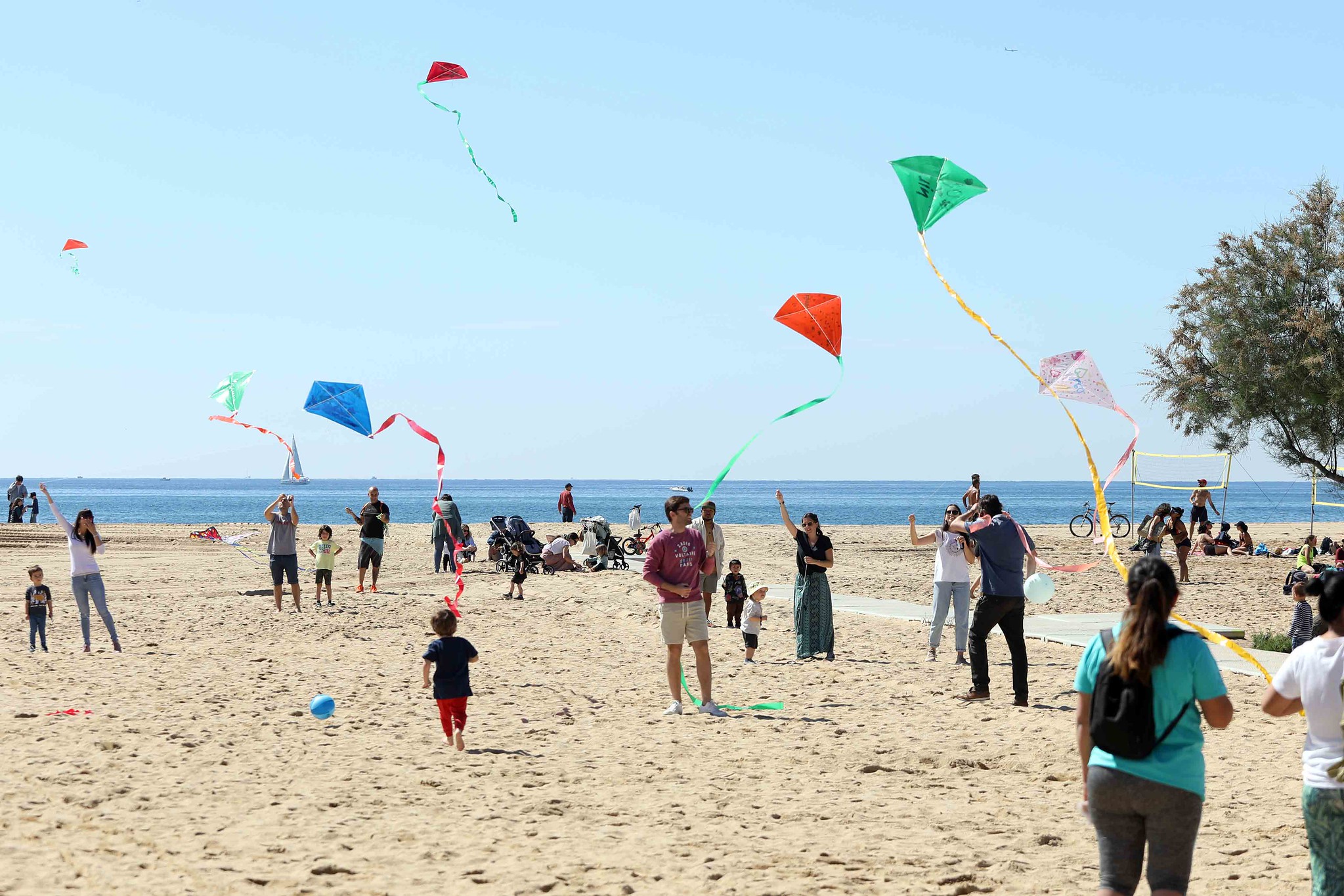 Centenars d'estels decoren el cel de la platja masnovina