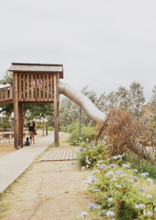 Descobrim la biodiversitat: crea la teva fitxa de camp com un aut&egrave;ntic bi&ograve;leg