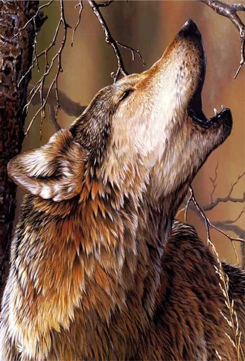 El m&oacute;n secret dels llops