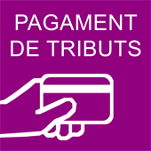 Pagament de Tributs