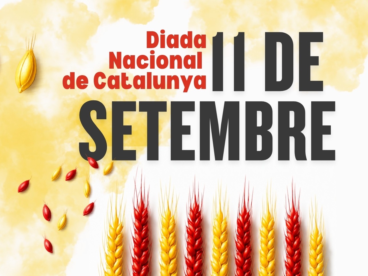 El Masnou es prepara per celebrar la Diada Nacional de Catalunya