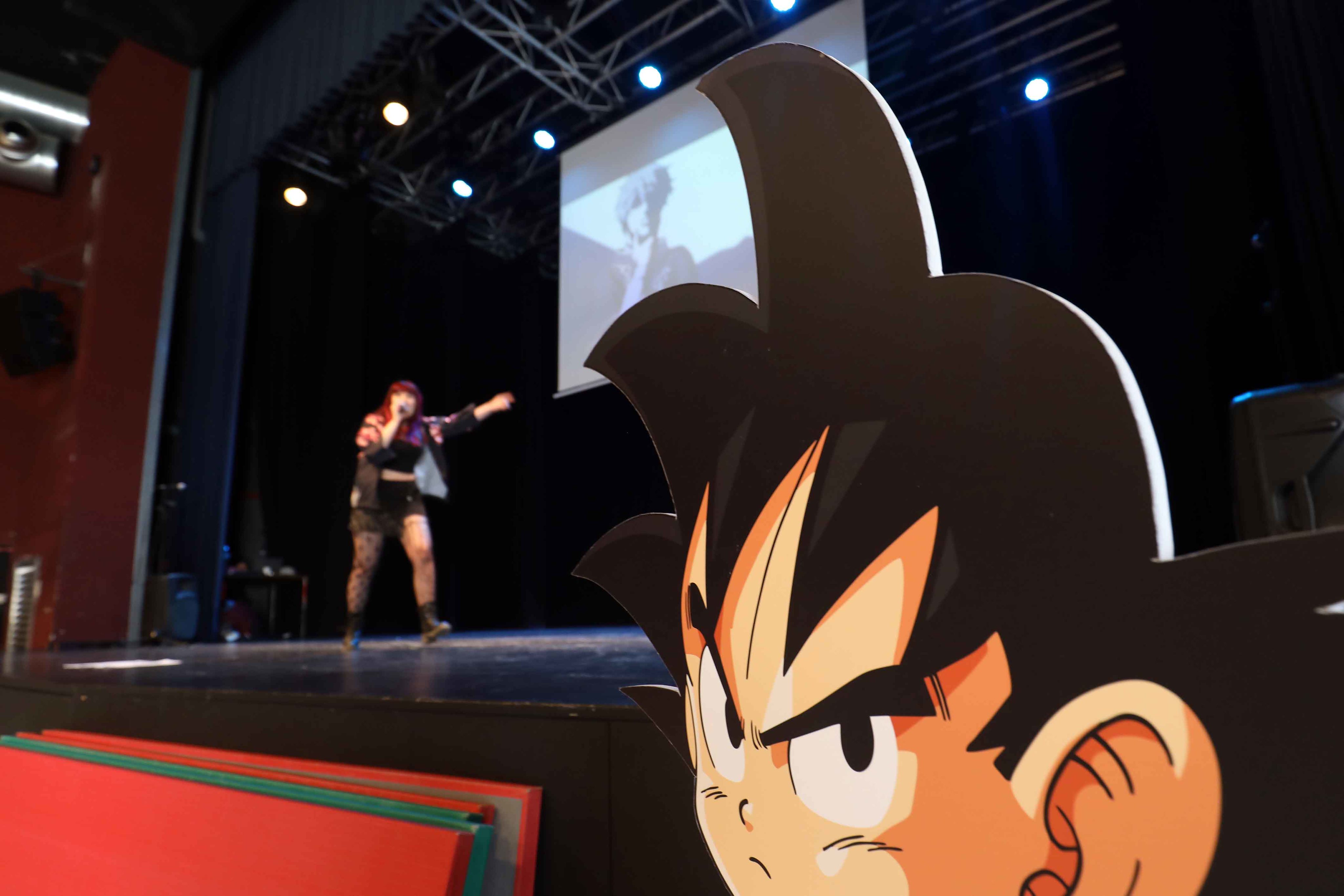 4a edici&oacute; del Festimanga
