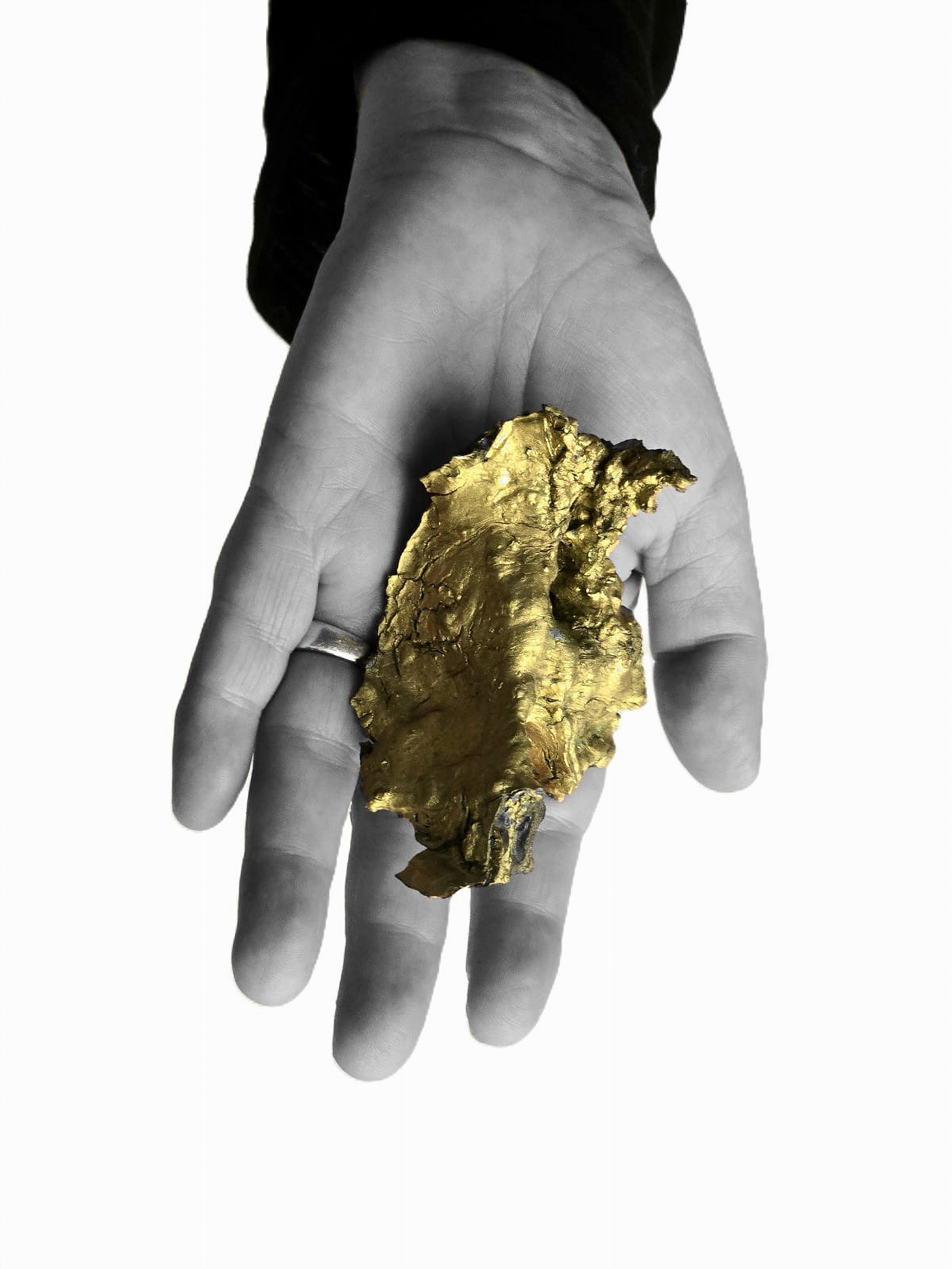 VICT&Ograve;RIA PUJADAS.  