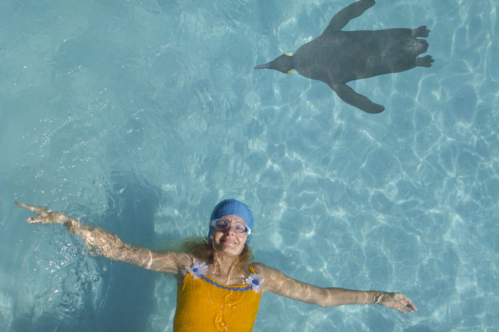 Teatre familiar: 'Com els pingüins' Companyia la Bleda