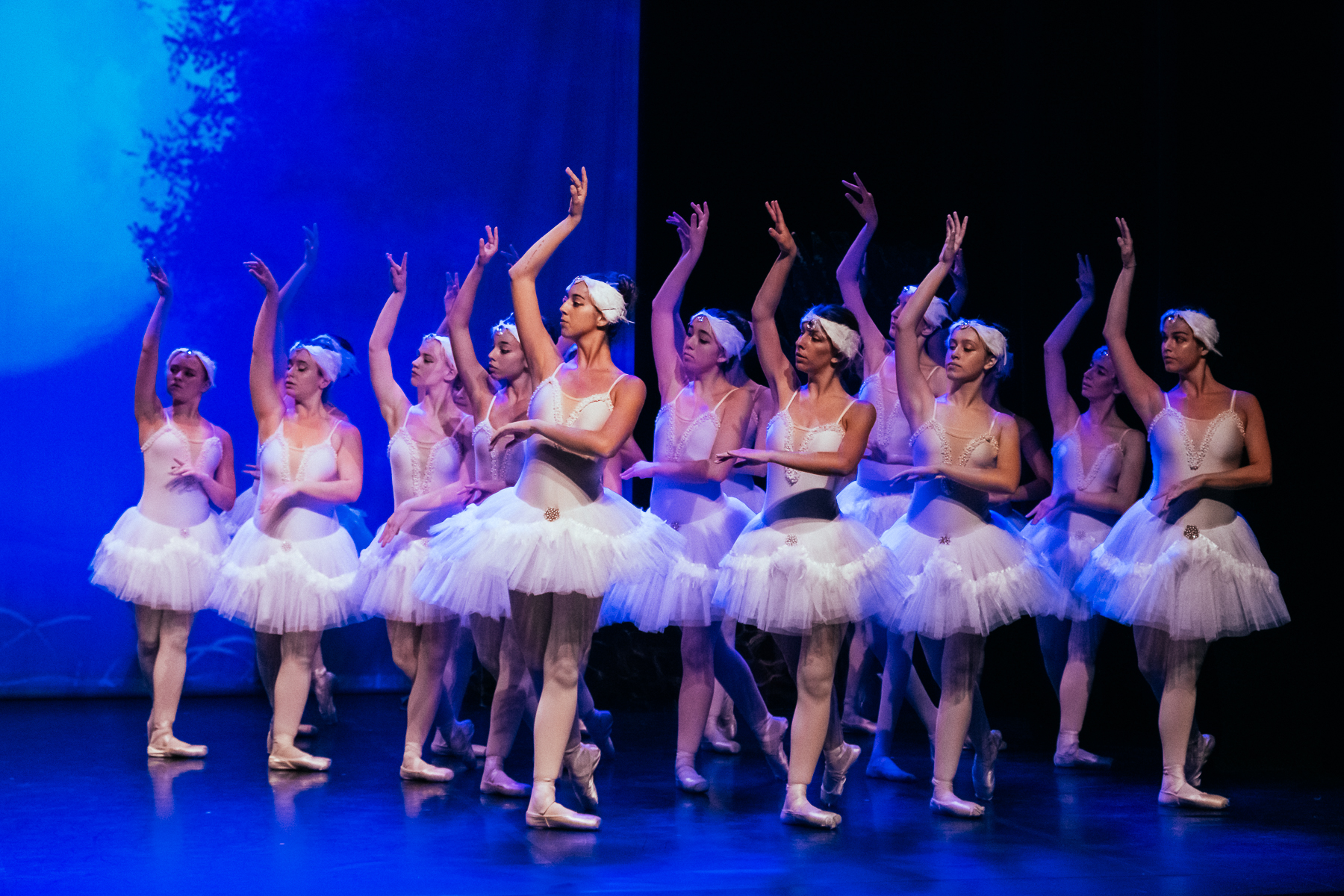 Ballet: 'El llac dels cignes' 