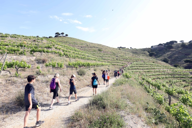 Més de 800 persones participen a la Caminada dels Tres Pobles