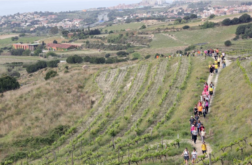 XVII Caminada dels Tres Pobles 