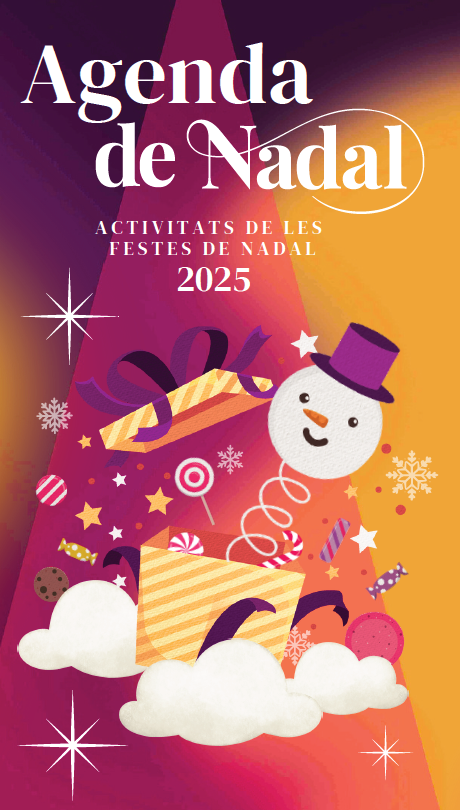 ACTIVITATS DE NADAL AL MUNICIPI