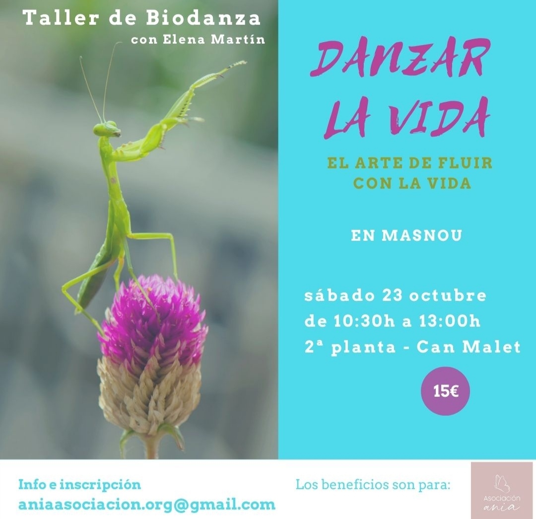 Taller de biodansa: 