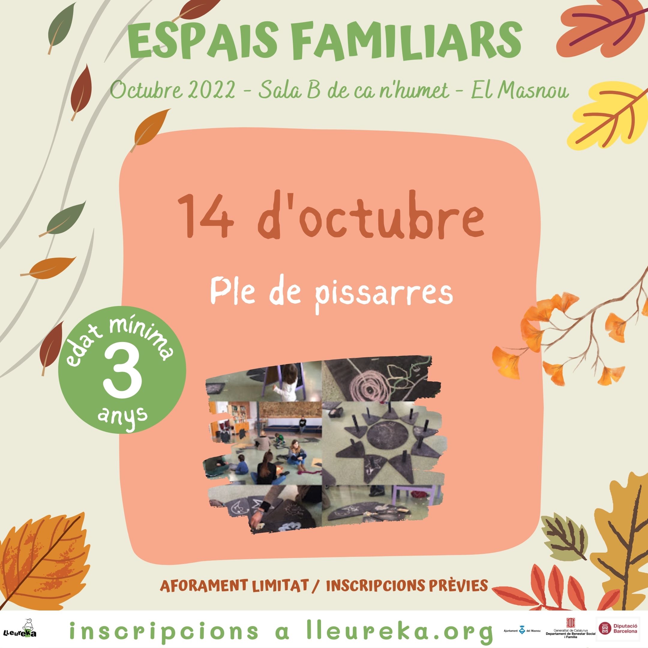 Espai Familiar: Ple de pissarres