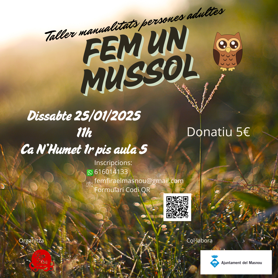 Taller de manualitats per a persones adultes: Fem un mussol