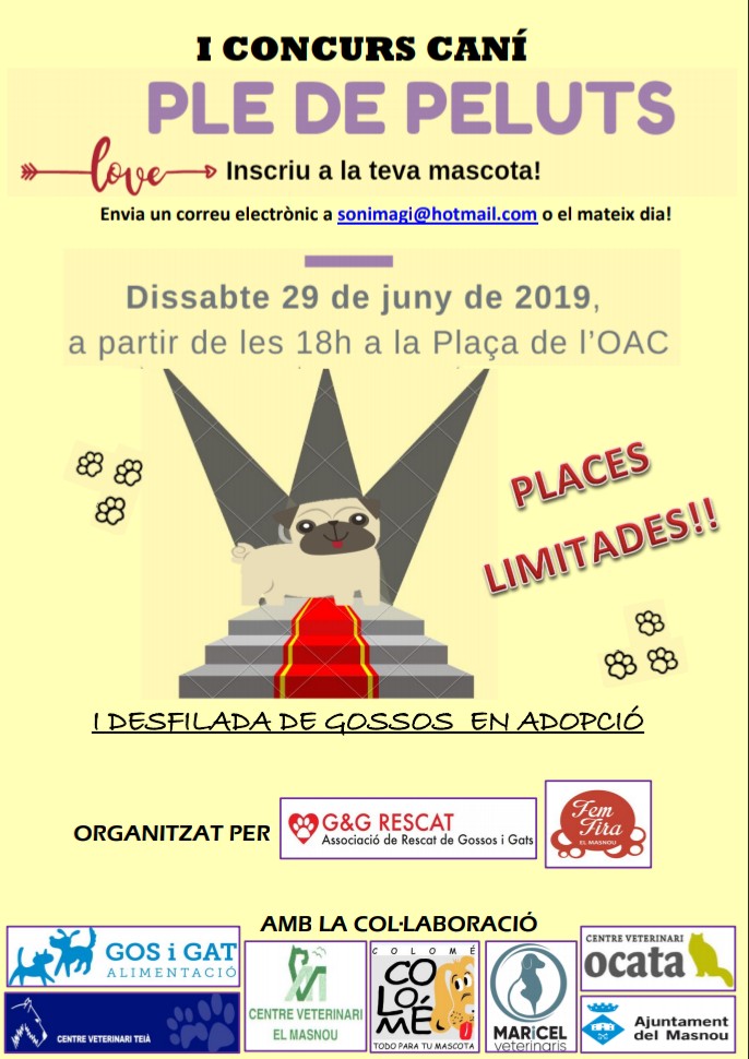 1r Concurs Caní del Masnou