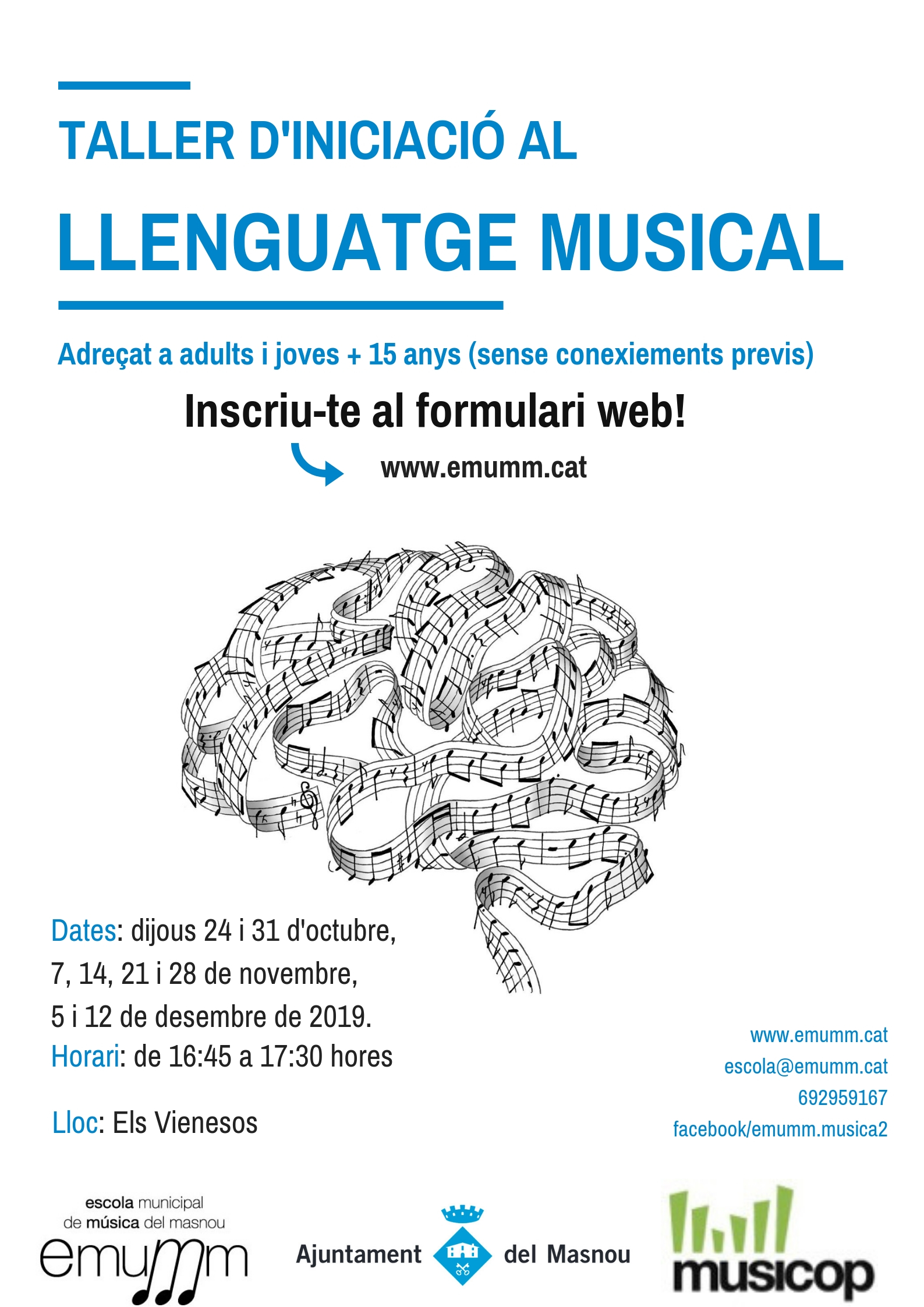 Taller de curta durada de llenguatge musical per a joves i adults
