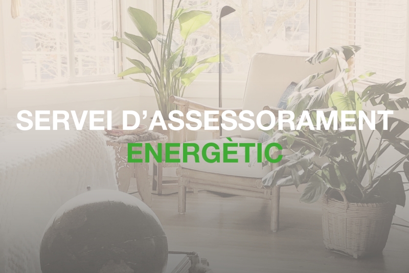 Servei d'Assessorament Energètic - SAE