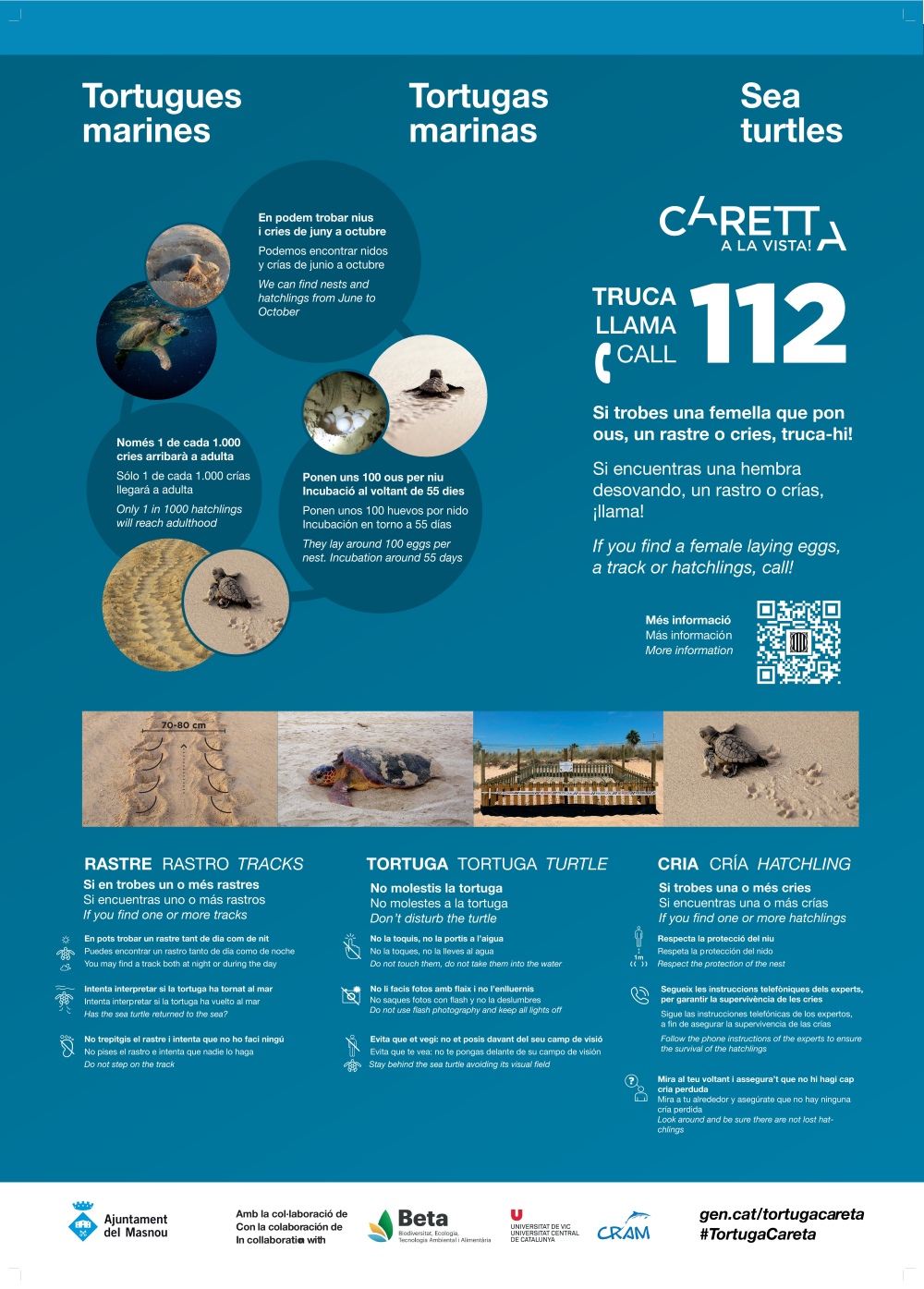 Cartell amb consells per protegir les tortugues marines