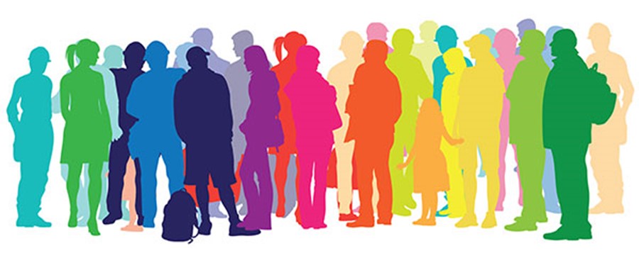 Enquesta ciutadana per elaborar el Pla local per a la diversitat afectiva, sexual i de gènere