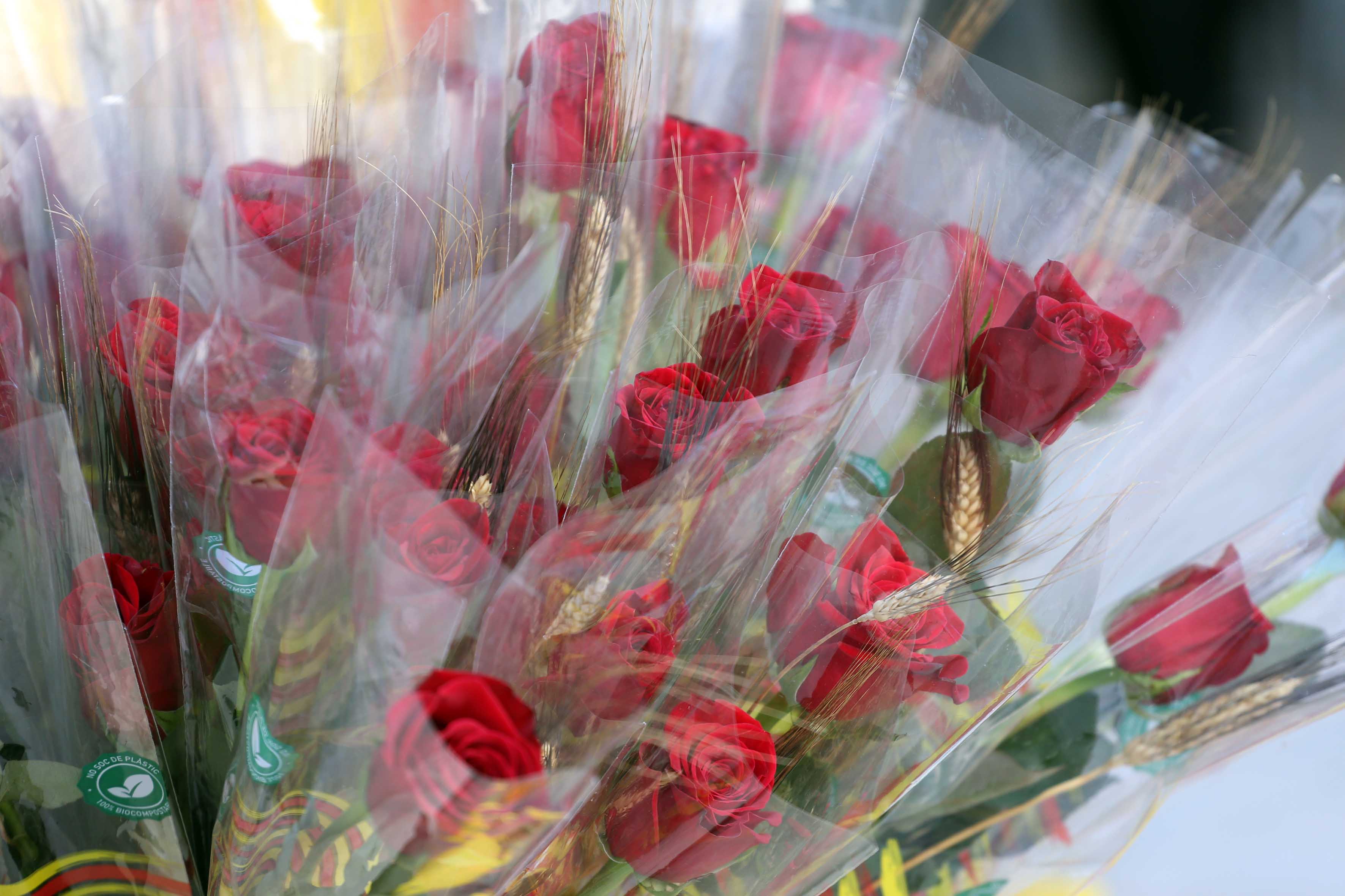 Sant Jordi torna als carrers del Masnou