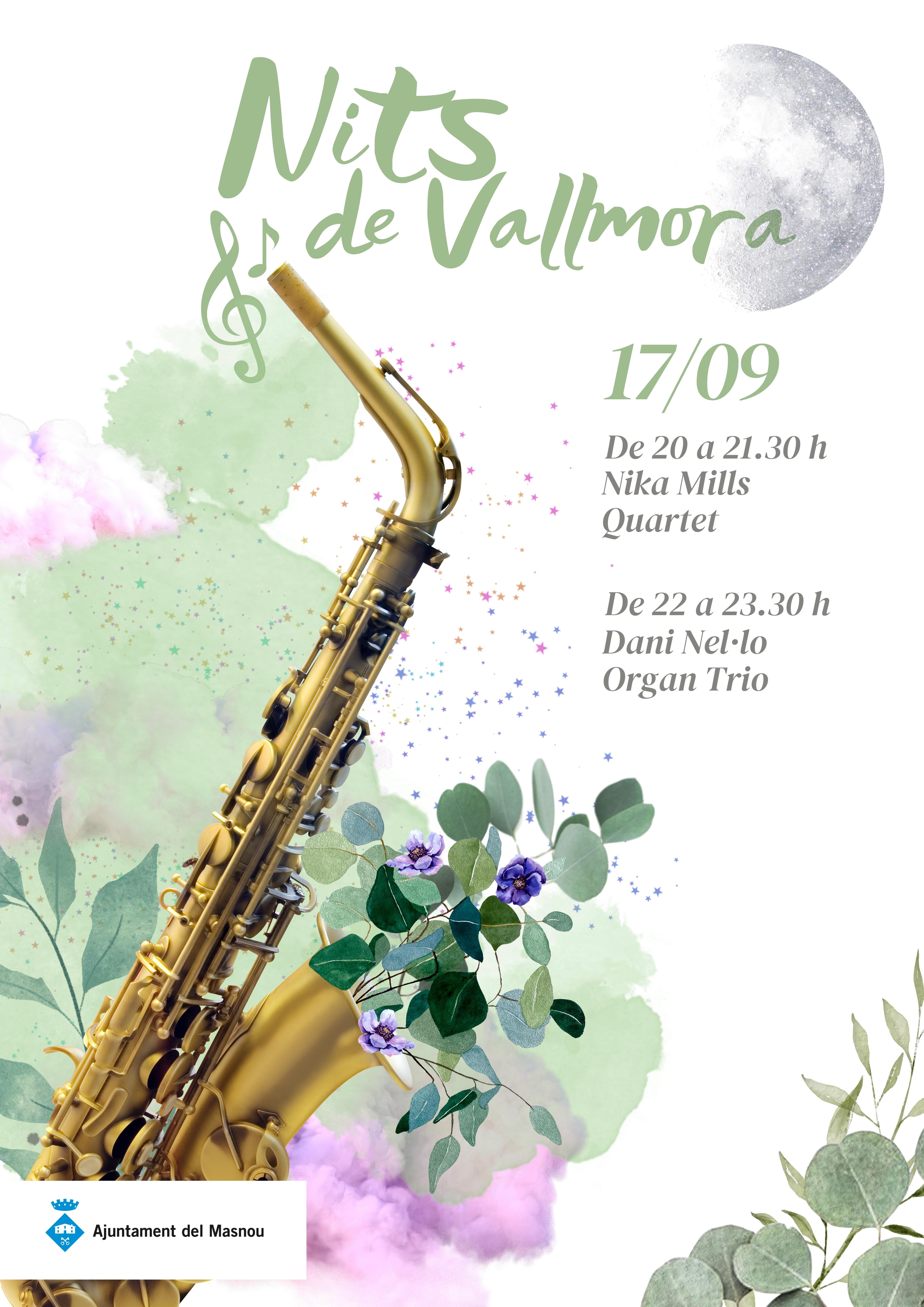 Nits de música al parc de Vallmora