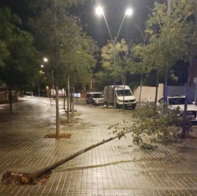 Afectacions causades per les tempestes al Masnou.