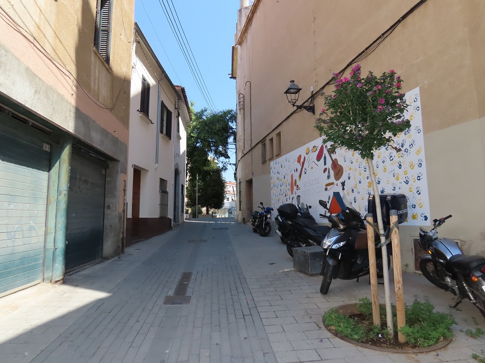 Plantats 211 arbres en diferents carrers del Masnou els darrers dos anys