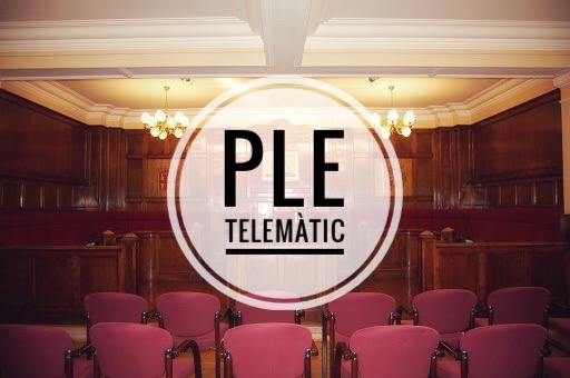 El Ple de gener se celebra el dijous 27 de forma telemàtica