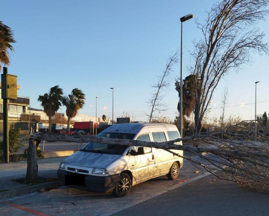 Incid&egrave;ncies pel temporal de vent