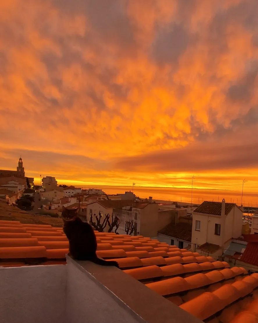 Fotografia de la guanyadora de la setena edició del Concurs d'Instagram de Turisme #colorsdelMasnou2023