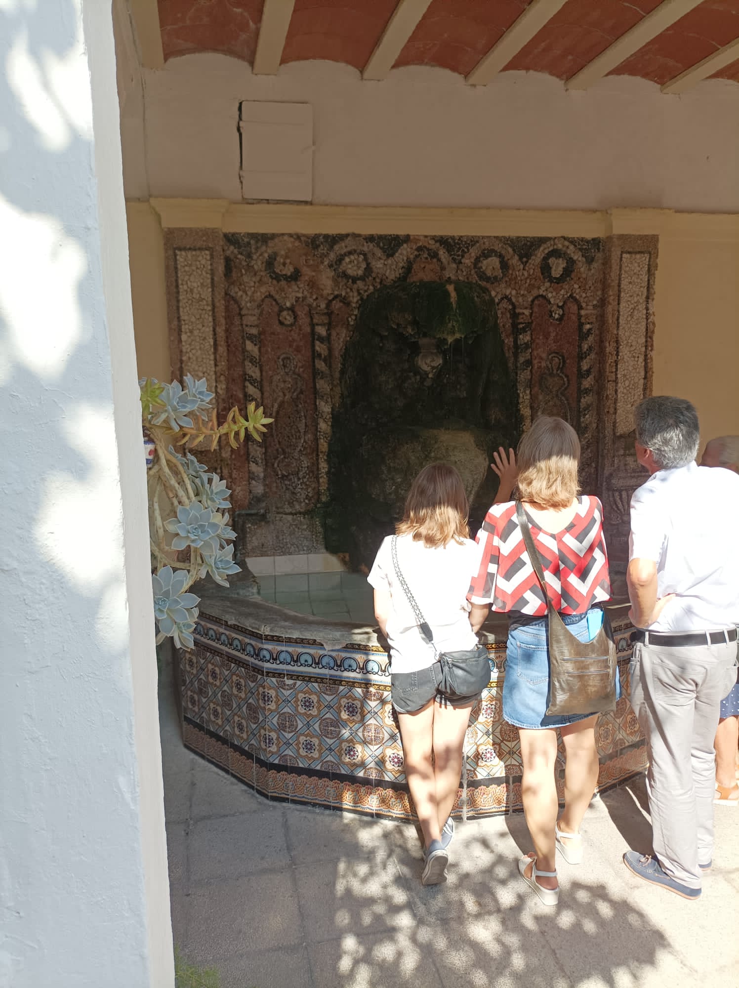 Portes obertes a patis privats per conèixer safarejos i eixides de mines d'aigua.